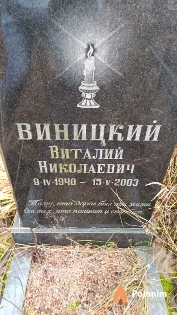 Виницкий Виталий Николаевич