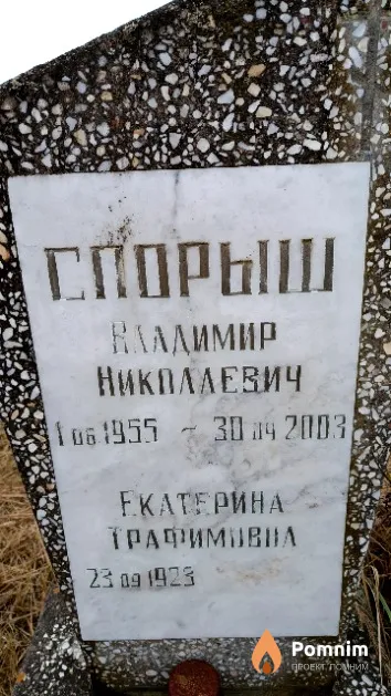 Спорыш Владимир Николаевич