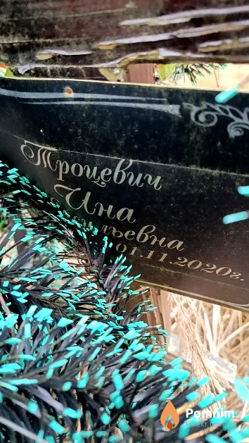 Троцевич Инна Васильевна