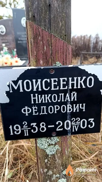 Моисеенко Николай Фёдорович