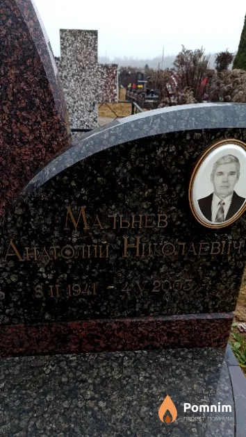 Мальнев Анатолий Ниголаевич