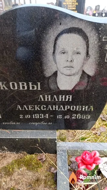Голикова Лилия Александровна