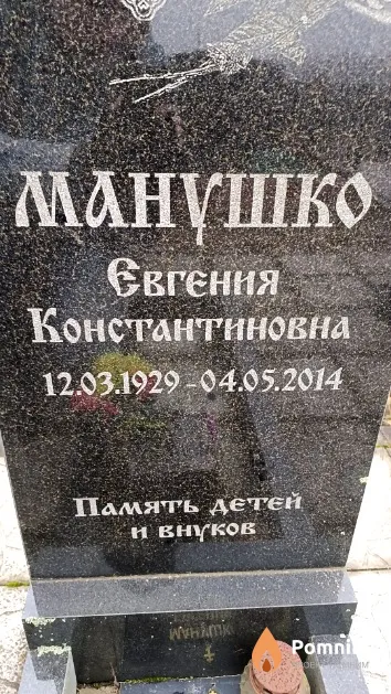 Манушко Евгения Константиновна