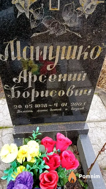 Манушко Арсений Борисович