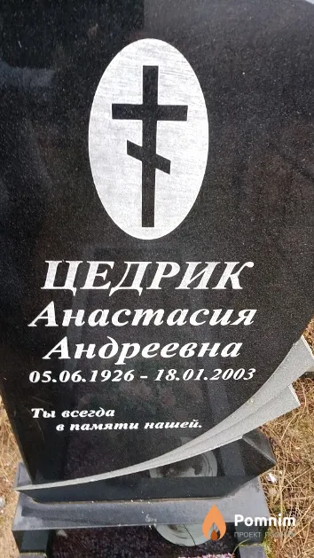 Цедрик Анастасия Андреевна