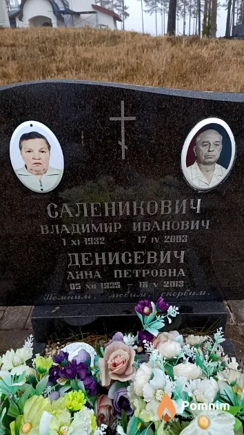 Саленикович Владимир Иванович