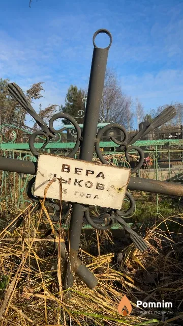 Лыкова Вера