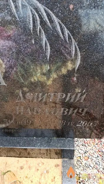 Дрозд Дмитрий Павлович