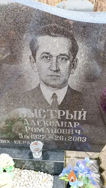 Быстрый Александр Романович