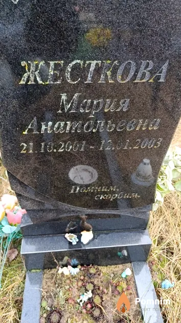 Жесткова Мария Анатольевна