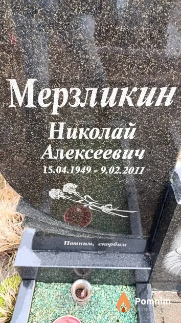 Мерзликин Николай Алексеевич