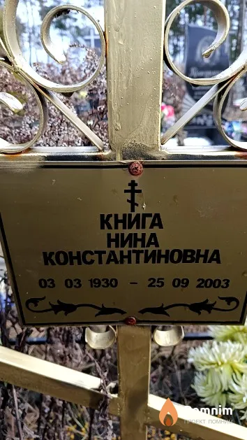Книга Нина Константиновна