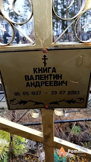 Книга Валентин Андреевич