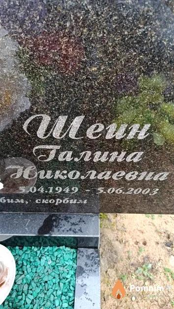 Шеин Галина Николаевна