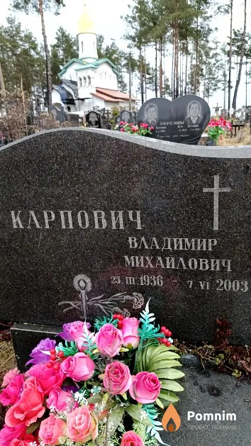 Карпович Владимир Михайлович