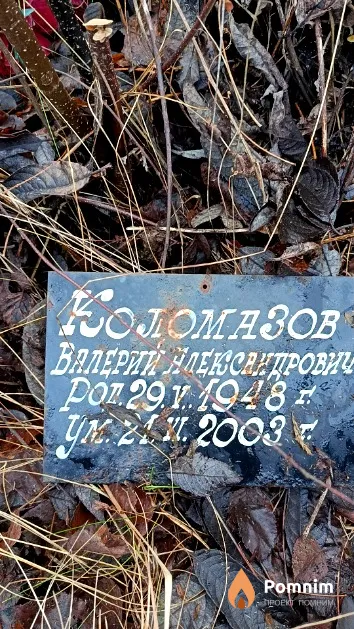 Коломазов Валерий Александрович