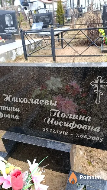 Николаева Полина Иосифовна