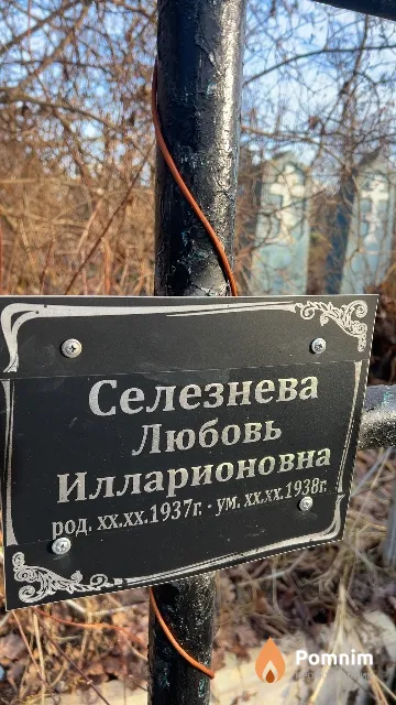 Селезнева Любовь Илларионовна