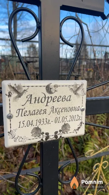 Андреева Пелагея Аксеновна