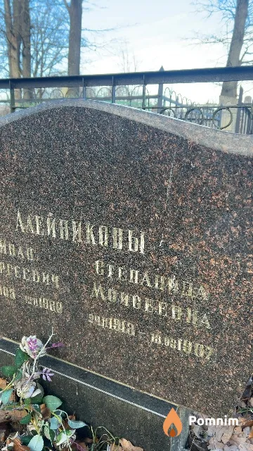 Алейников Степанида Моисерина