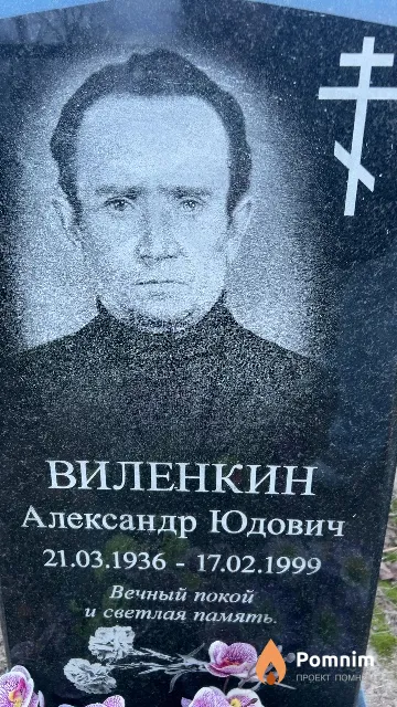 Виленкин Александр Юдович