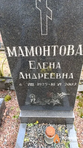 Мамонтова Елена Андреевна