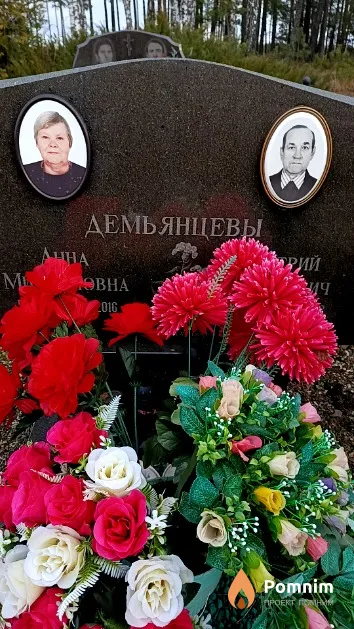 Демьянцев Дмитрий Степанович