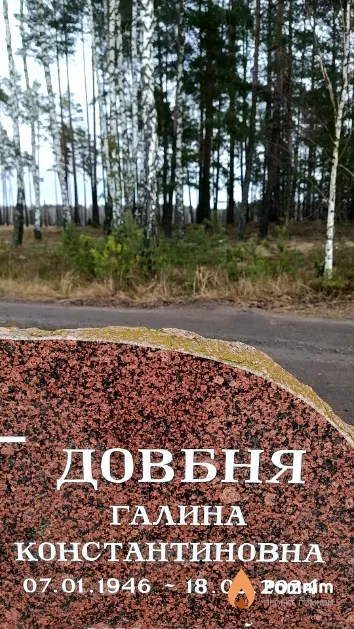 Довбня Галина Константиновна