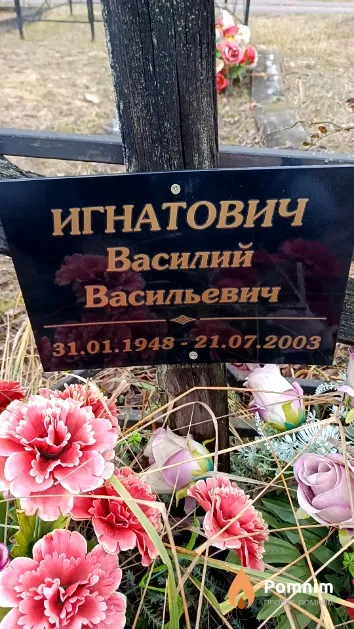 Игнатович Василий Васильевич