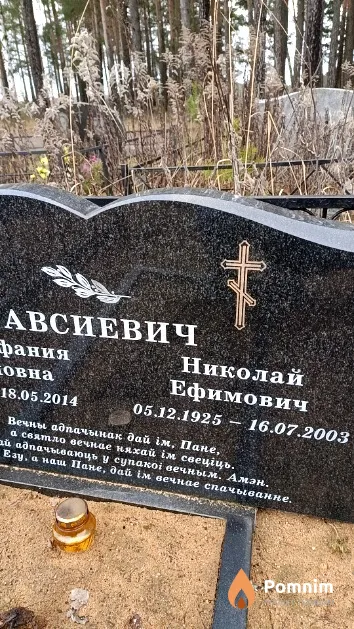 Авсиевич Николай Ефимович