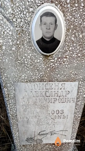 Моисеня Александр Владимирович