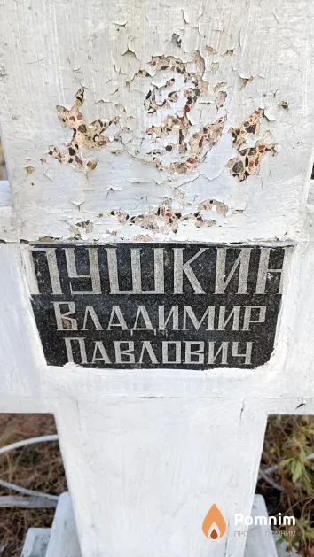 Пушкин Владимир Павлович