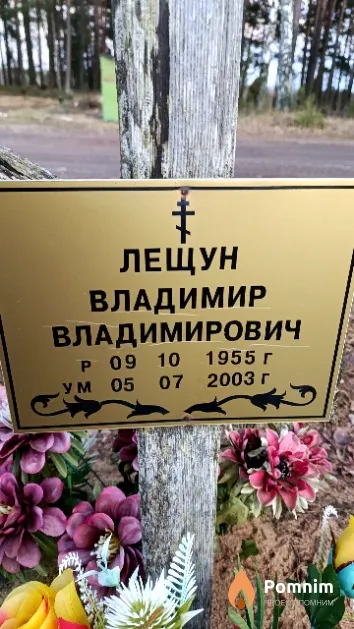 Лещун Владимир Владимирович