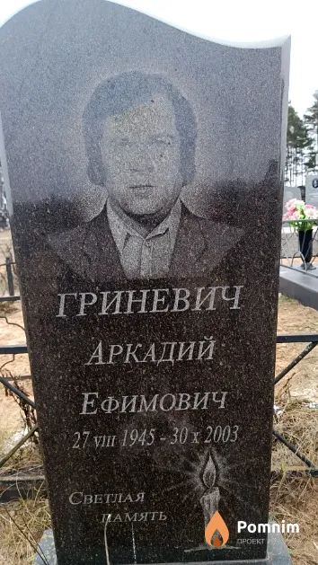 Гриневич Аркадий Ефимович