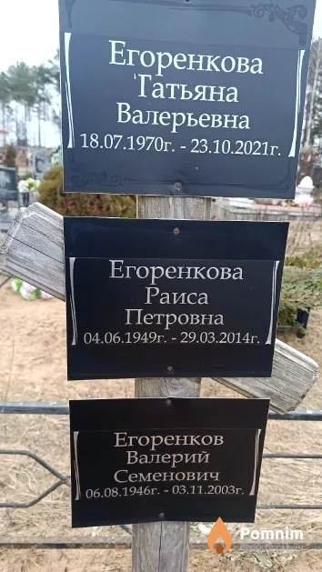 Егоренкова Татьяна Валерьевна