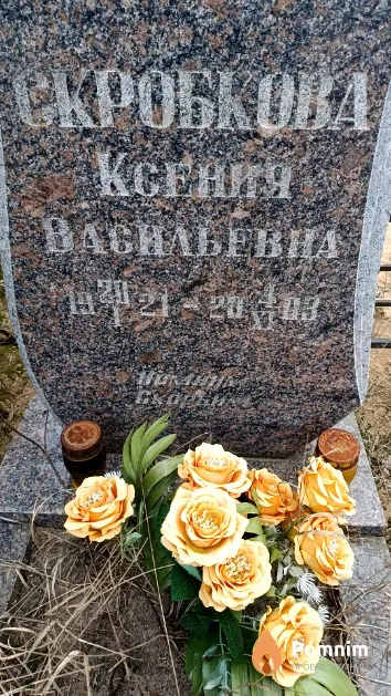 Скробкова Ксения Васильевна