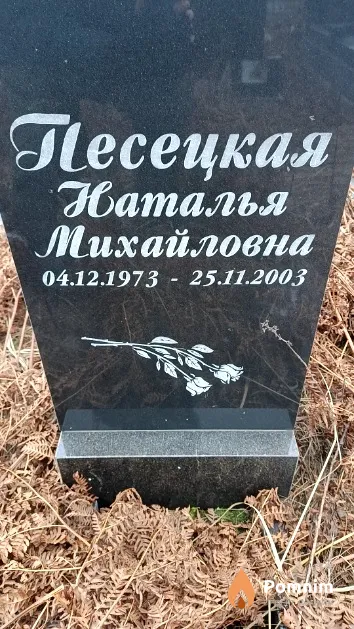 Песецкая Наталья Михайловна