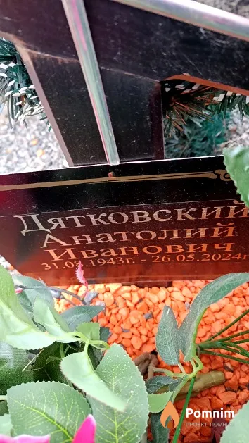 Дятковский Анатолий Иванович