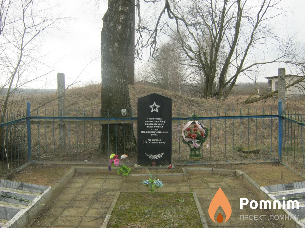 
<span>Братская могила 3549</span>
