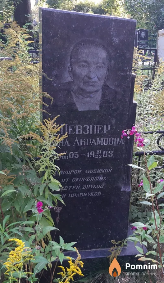 Певзнер Яна Абрамовна