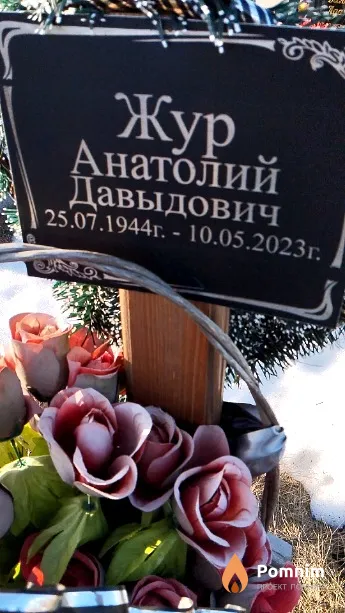 Жур Анатолий Давыдович