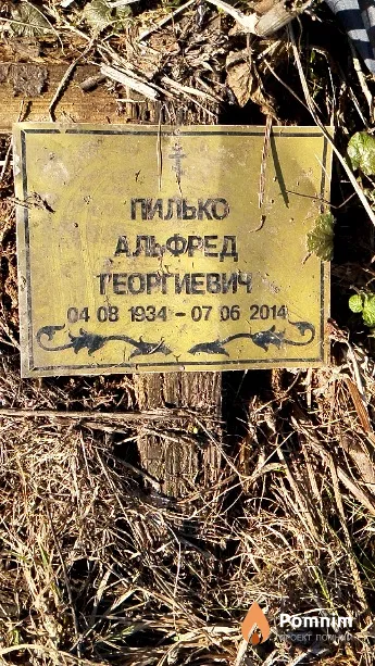 Пилько Альфред Георгиевич