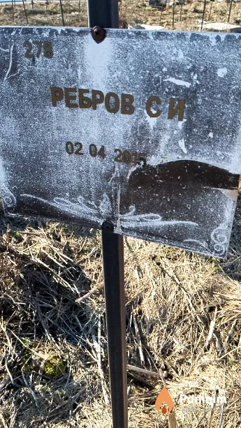 Ребров С И