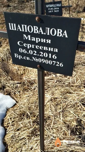 Шаповалова Мария Сергеевна
