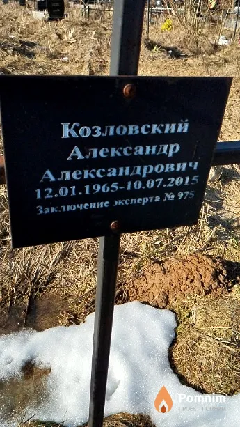 Козловский Александр Александрович