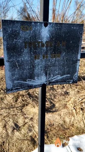 Третьяк А Н