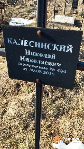 Калесинский Николай Николаевич