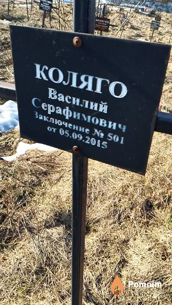 Коляго Василий Серафимович