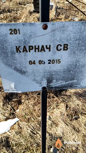 Карнач С В