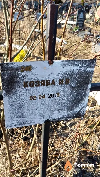 Козяба И В